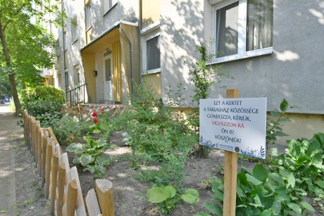 Figyelemfelhívó táblát kaptak a házak előtt a közösségi kiskertek Székesfehérváron